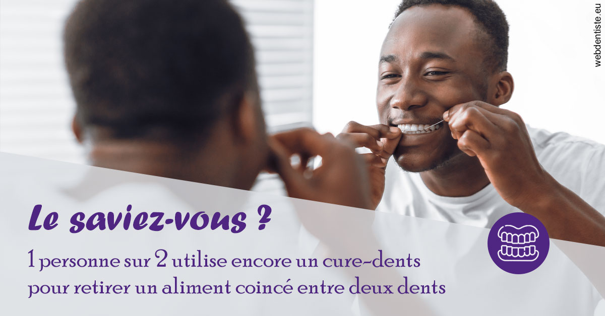 https://dr-nahon-jacques.chirurgiens-dentistes.fr/Cure-dents 2
