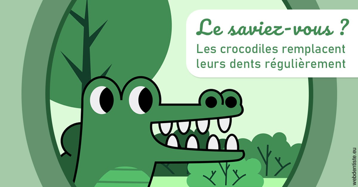 https://dr-nahon-jacques.chirurgiens-dentistes.fr/Crocodiles 2