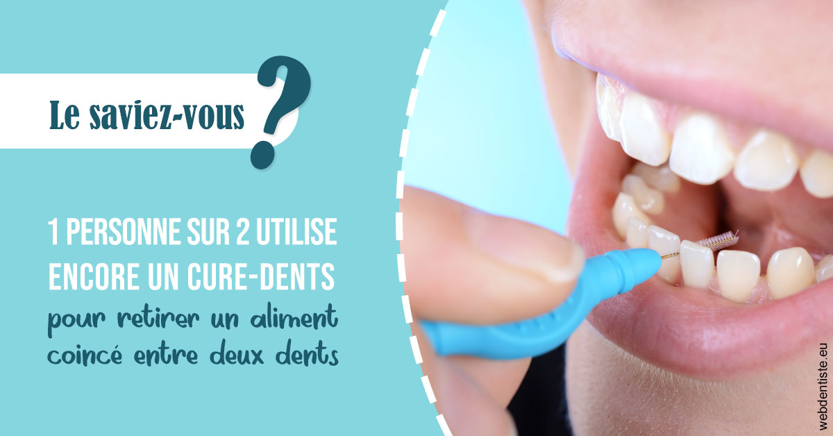https://dr-nahon-jacques.chirurgiens-dentistes.fr/Cure-dents 1