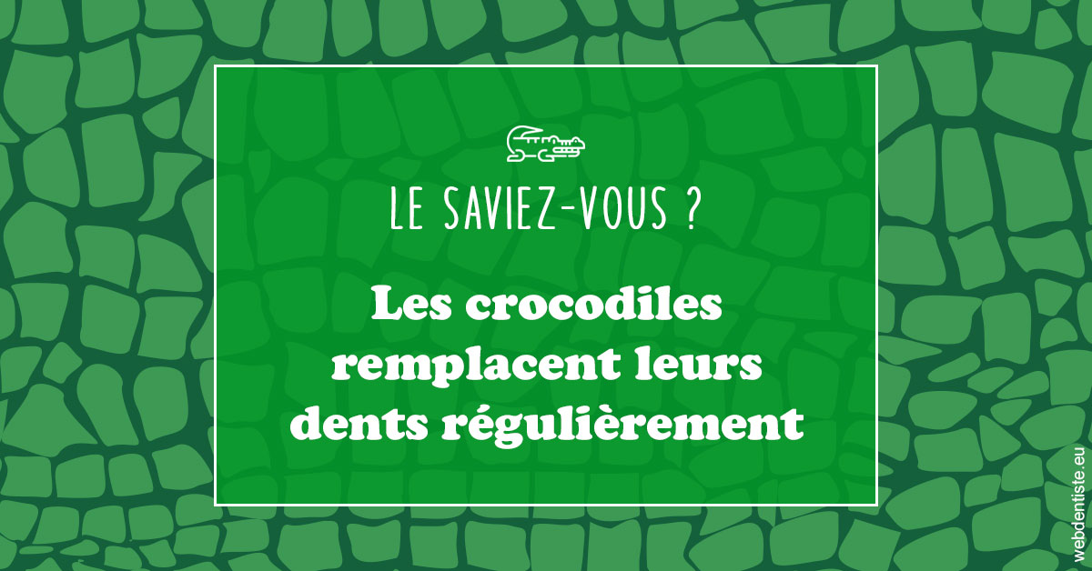https://dr-nahon-jacques.chirurgiens-dentistes.fr/Crocodiles 1